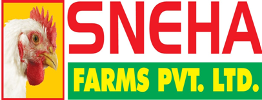RND Automation Client – Food and Poultry Processing